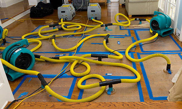 Professional Burst Pipe Water Damage technician working in Hollins, AL