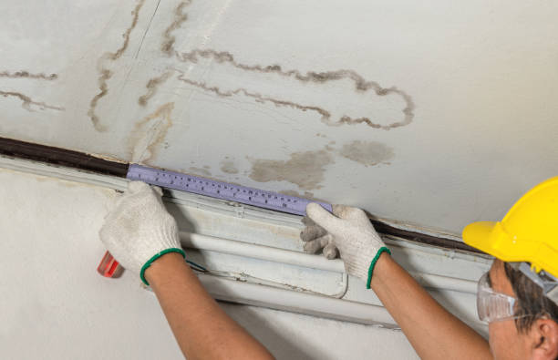 Affordable Water Damage Repair solutions in Hollins, AL